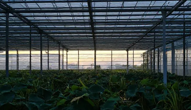 运维效率提升中的场景方案设计关键要素
